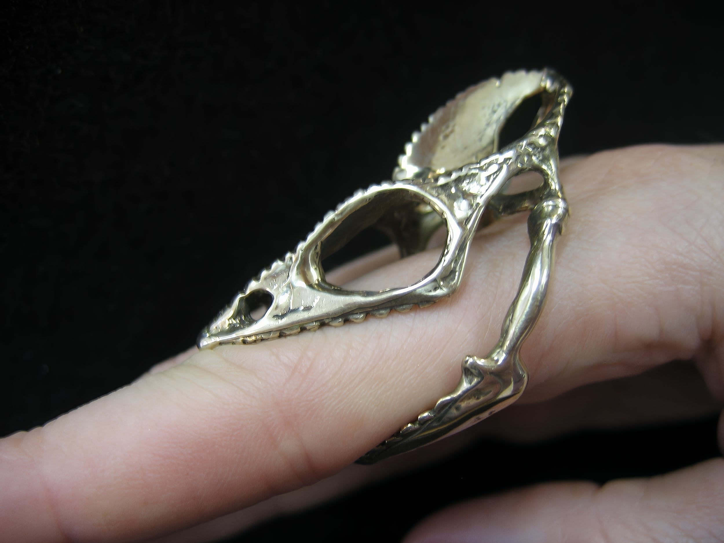Chameleon Lizard Skull - Moon Raven Designs