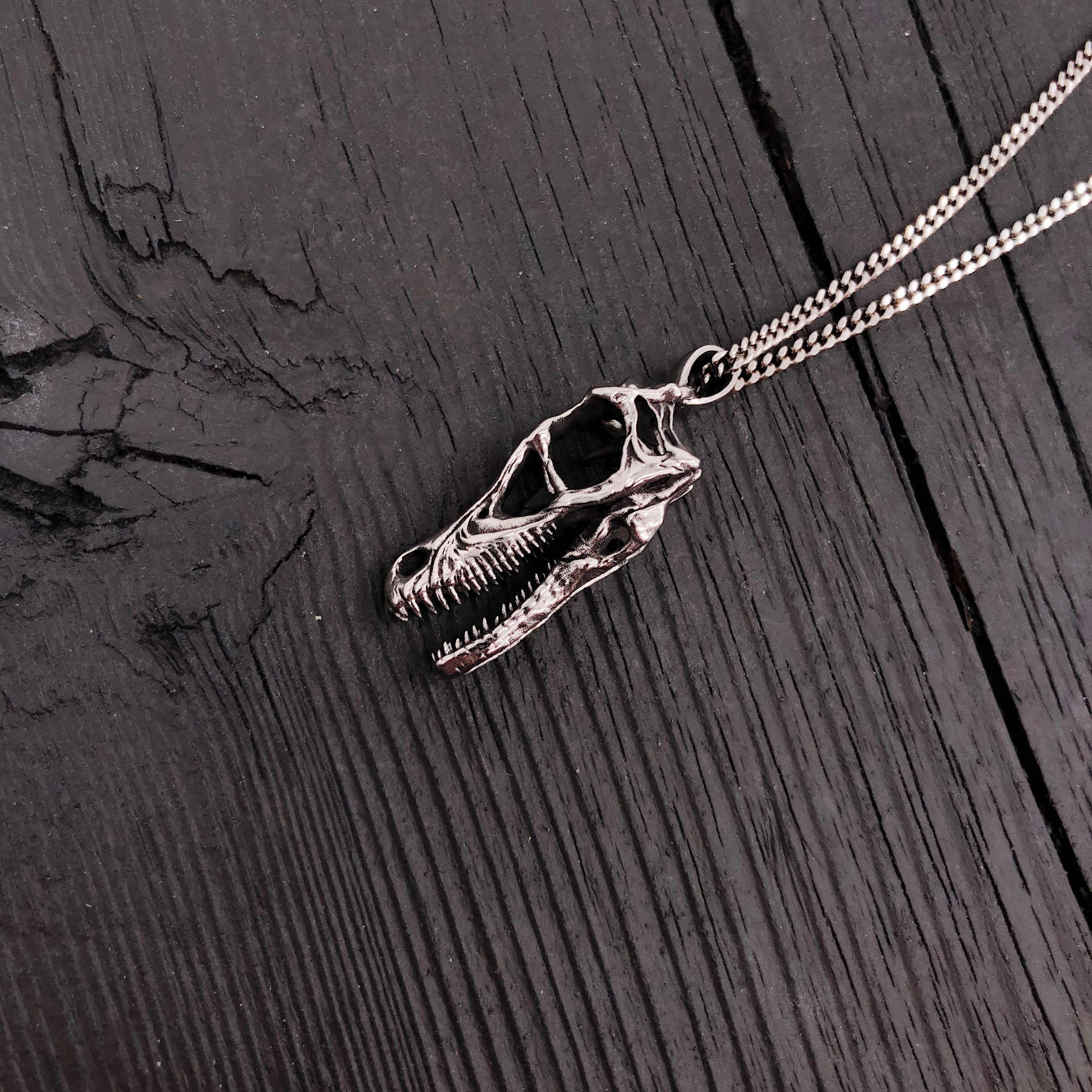 Close-up necklace with detailed skull pendant | Moon Raven