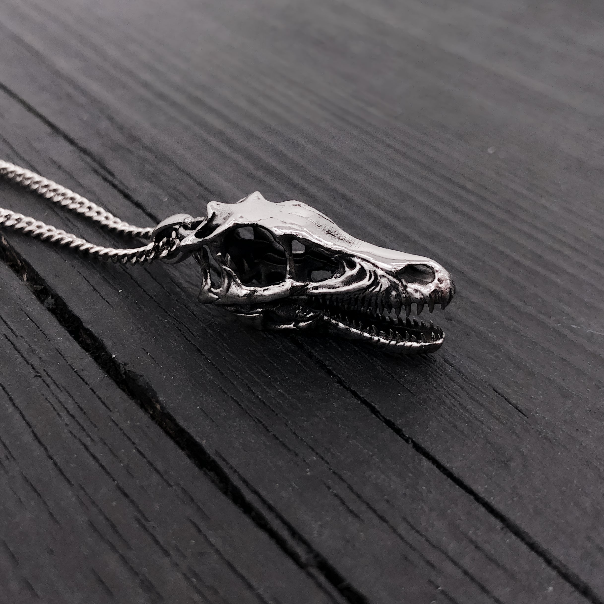 Silver necklace with detailed skull pendant, edgy style | Moon Raven