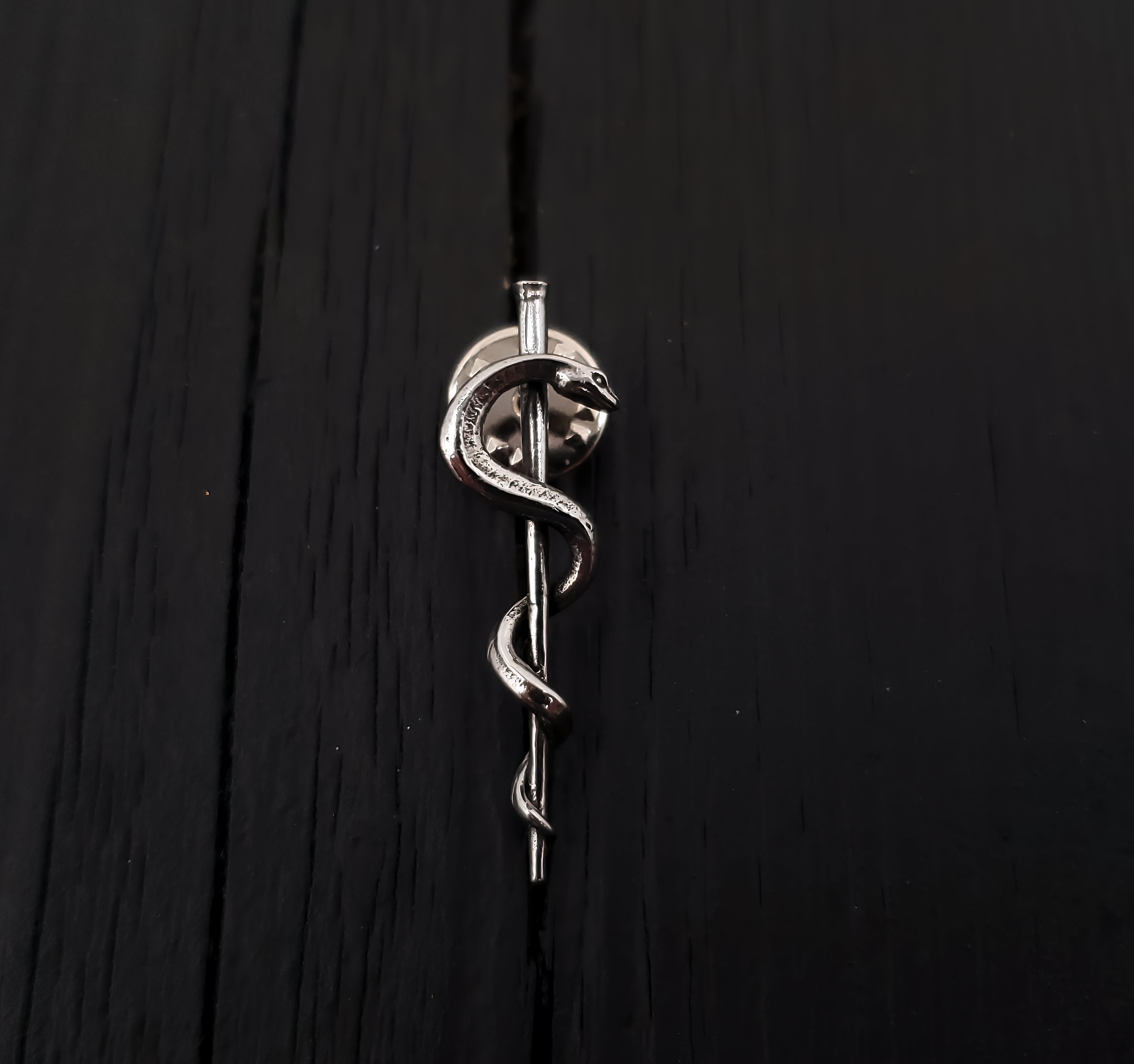 Silver snake coiled on black background, sleek texture | Moon Raven
