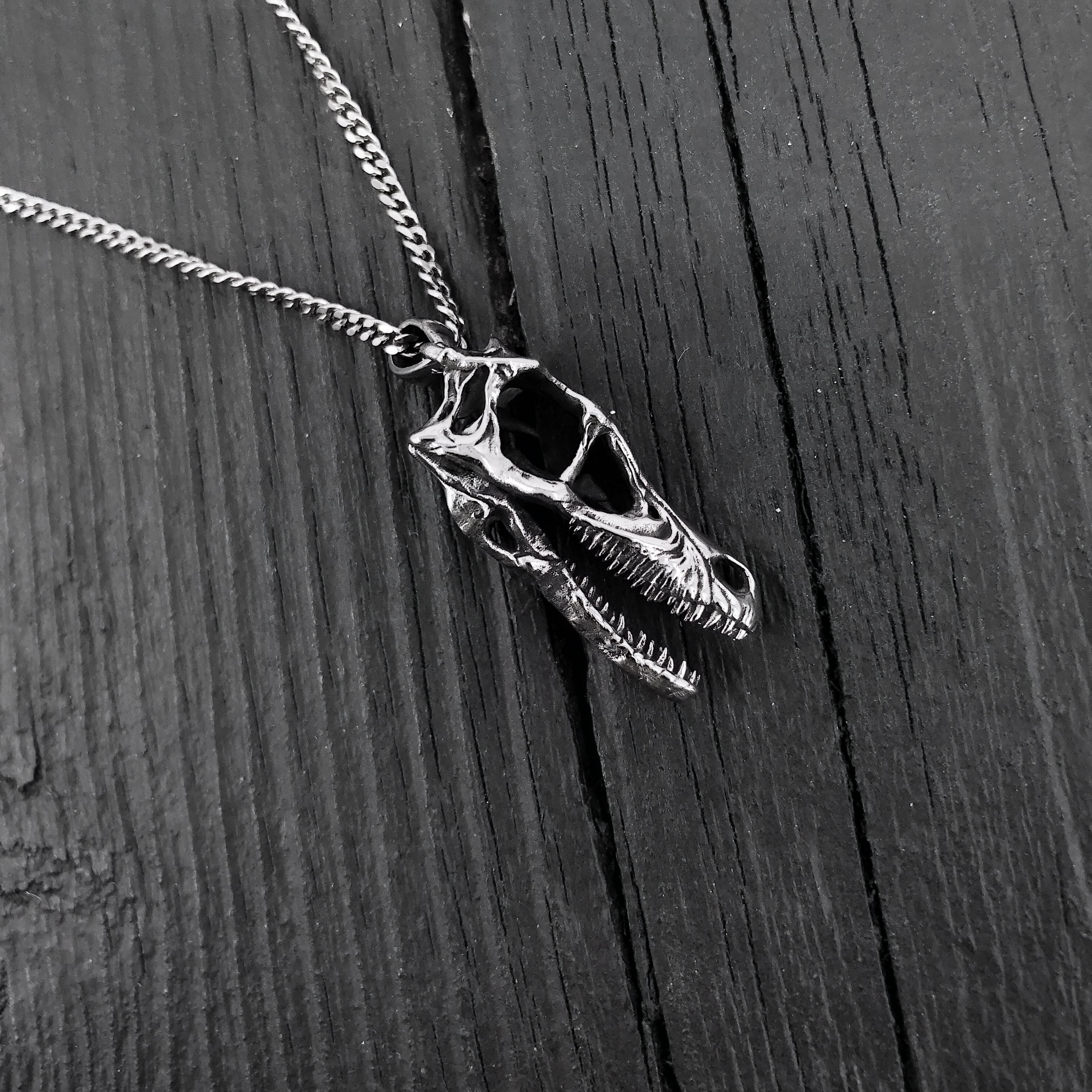 Black and white necklace photo with detailed skull pendant | Moon Raven