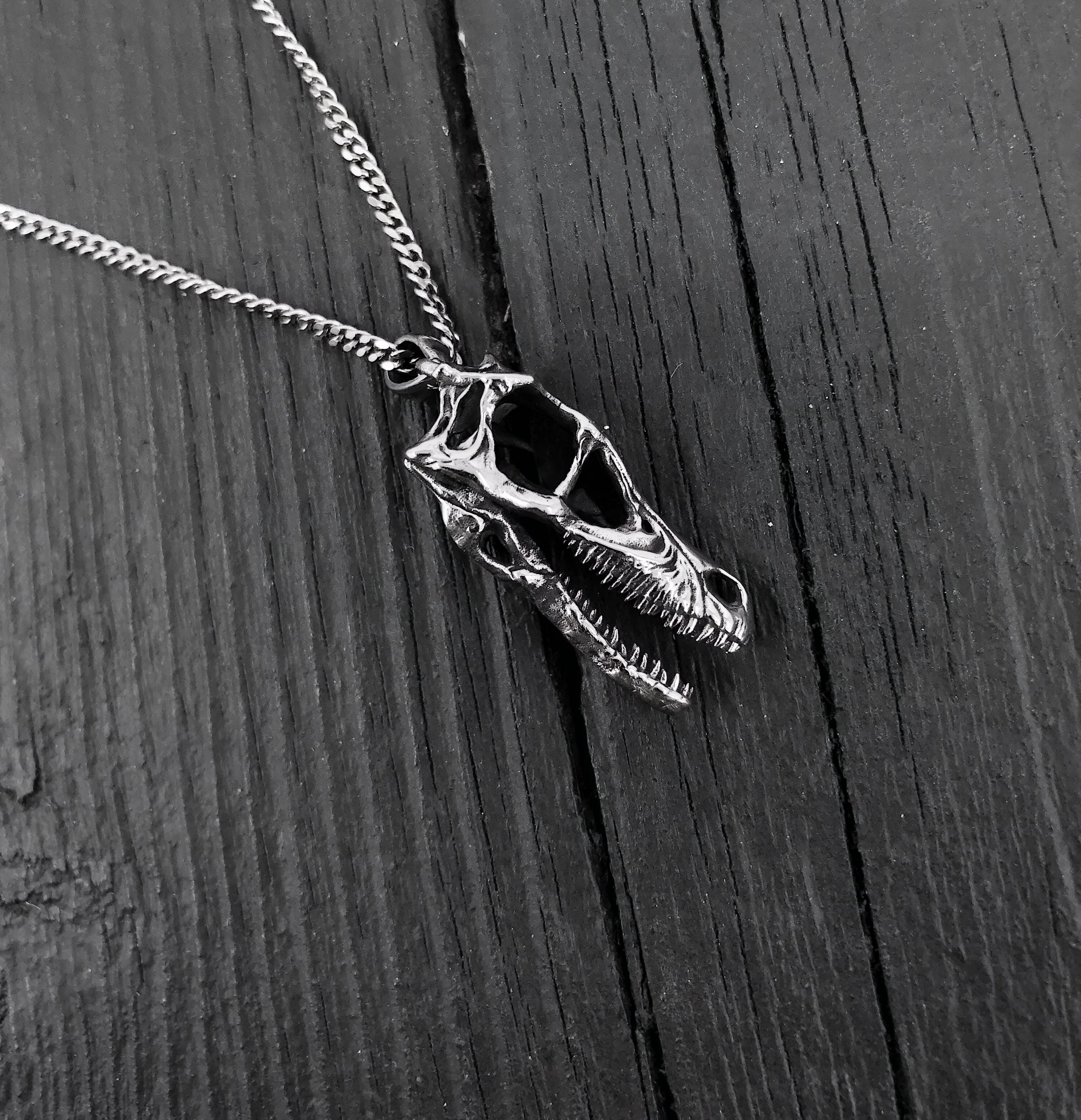 Black and white necklace photo with detailed skull pendant | Moon Raven