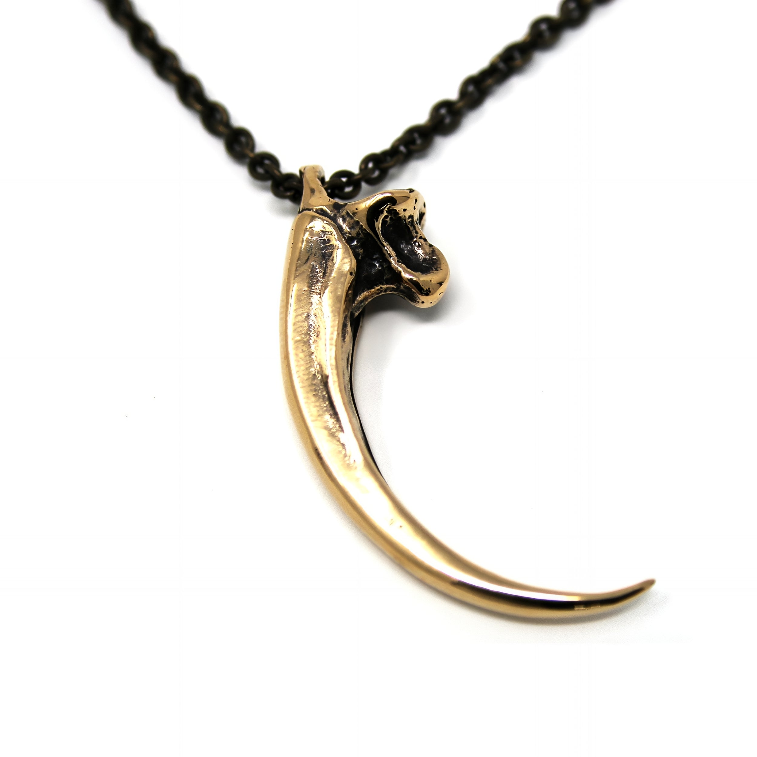 Eagle Talon Claw Necklace - Moon Raven Designs