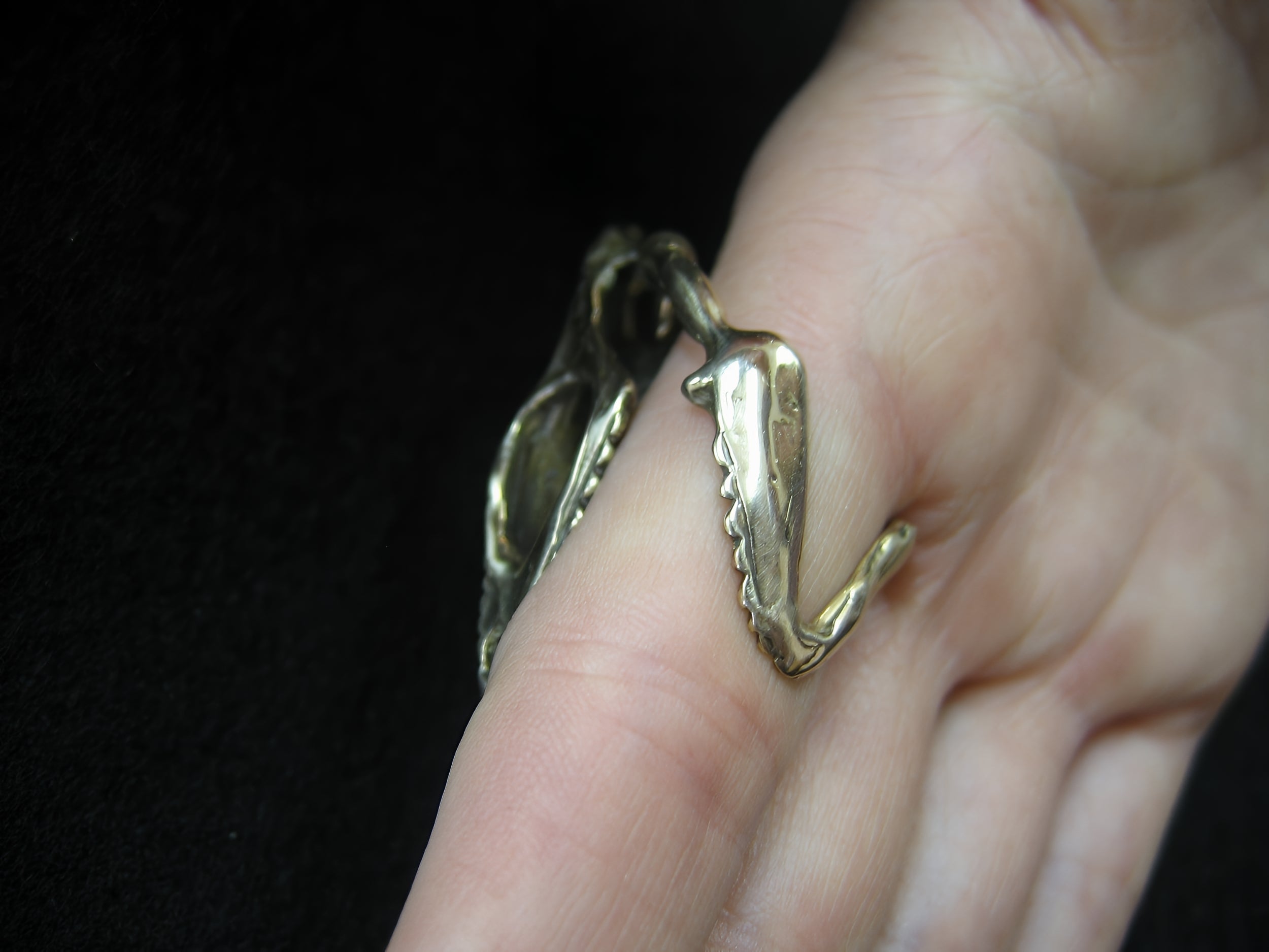 Chameleon Lizard Skull - Moon Raven Designs