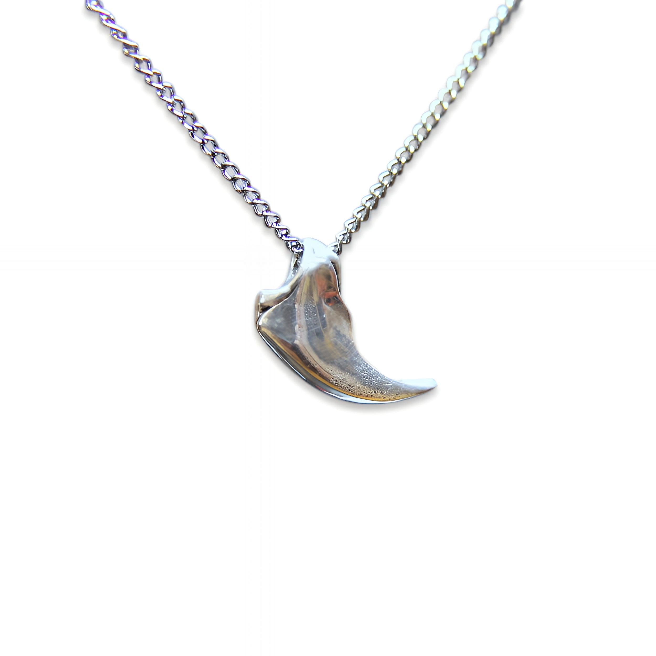Little Bear Claw Necklace - Moon Raven Designs