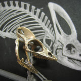 Chameleon Lizard Skull - Moon Raven Designs