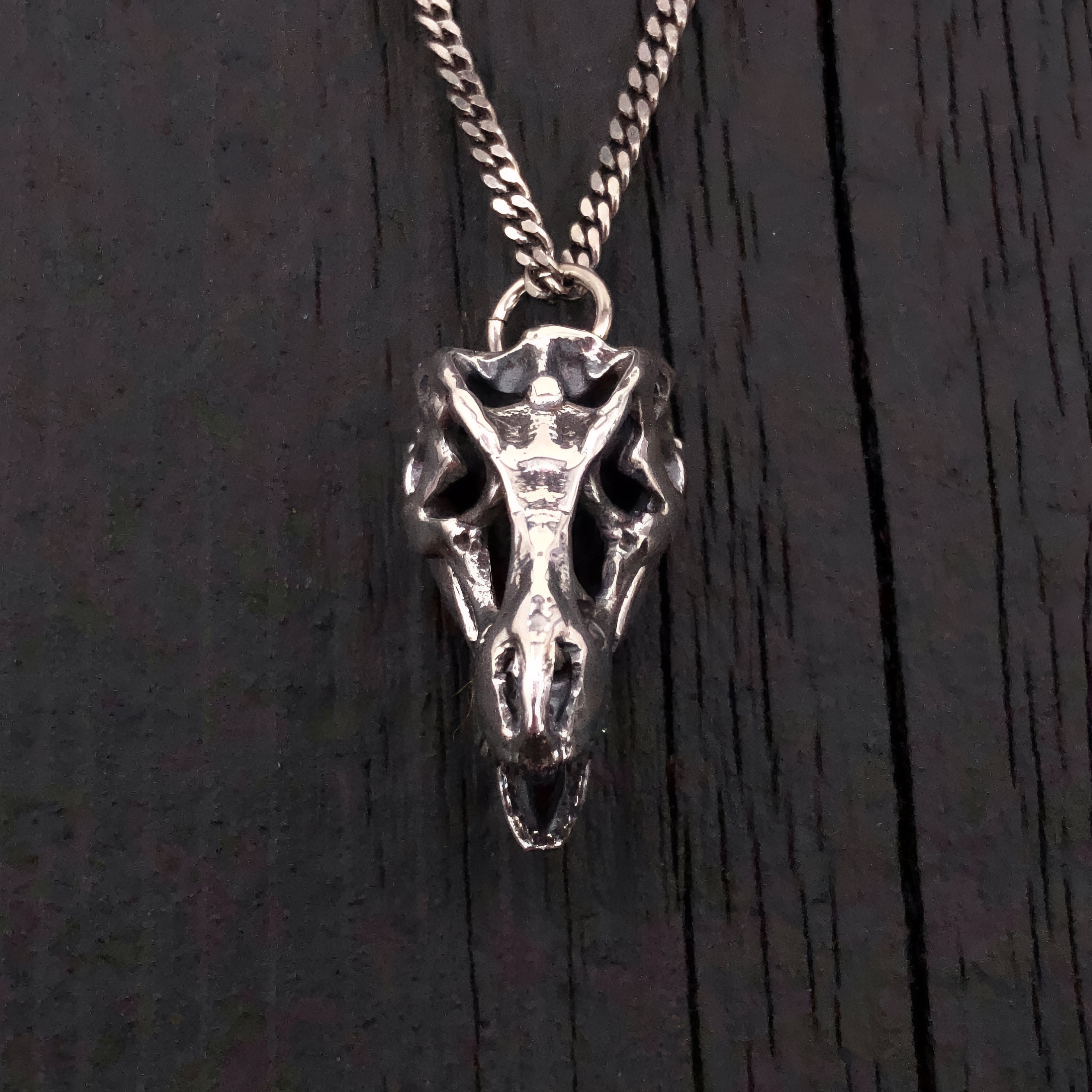 Silver T-Rex Skull Pendant Necklace in Solid Hand Cast Sterling Silver - Tyrannosaurus Rex - Rare and Unique Dinosaur Jewelry