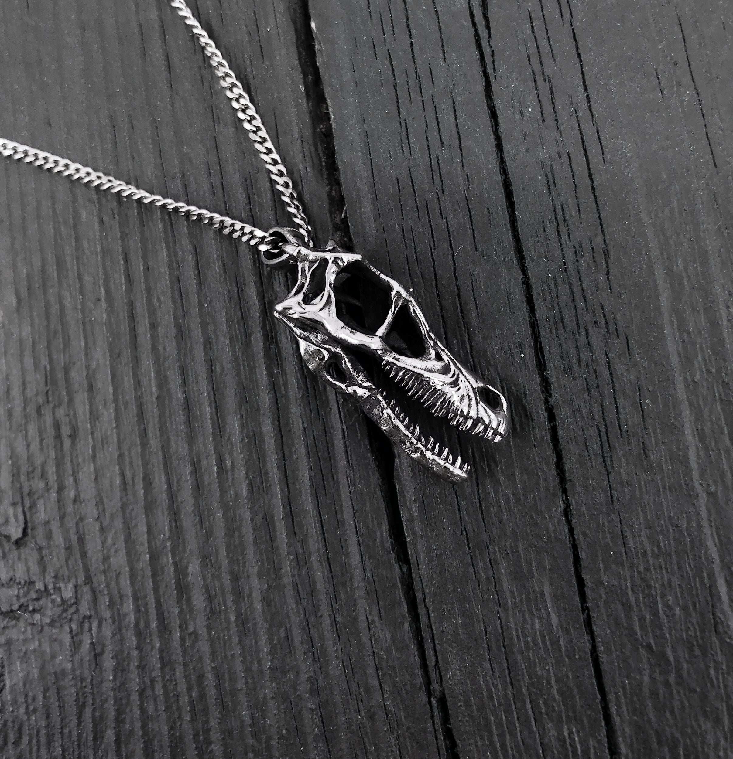 Black & white necklace photo with detailed skull pendant | Moon Raven