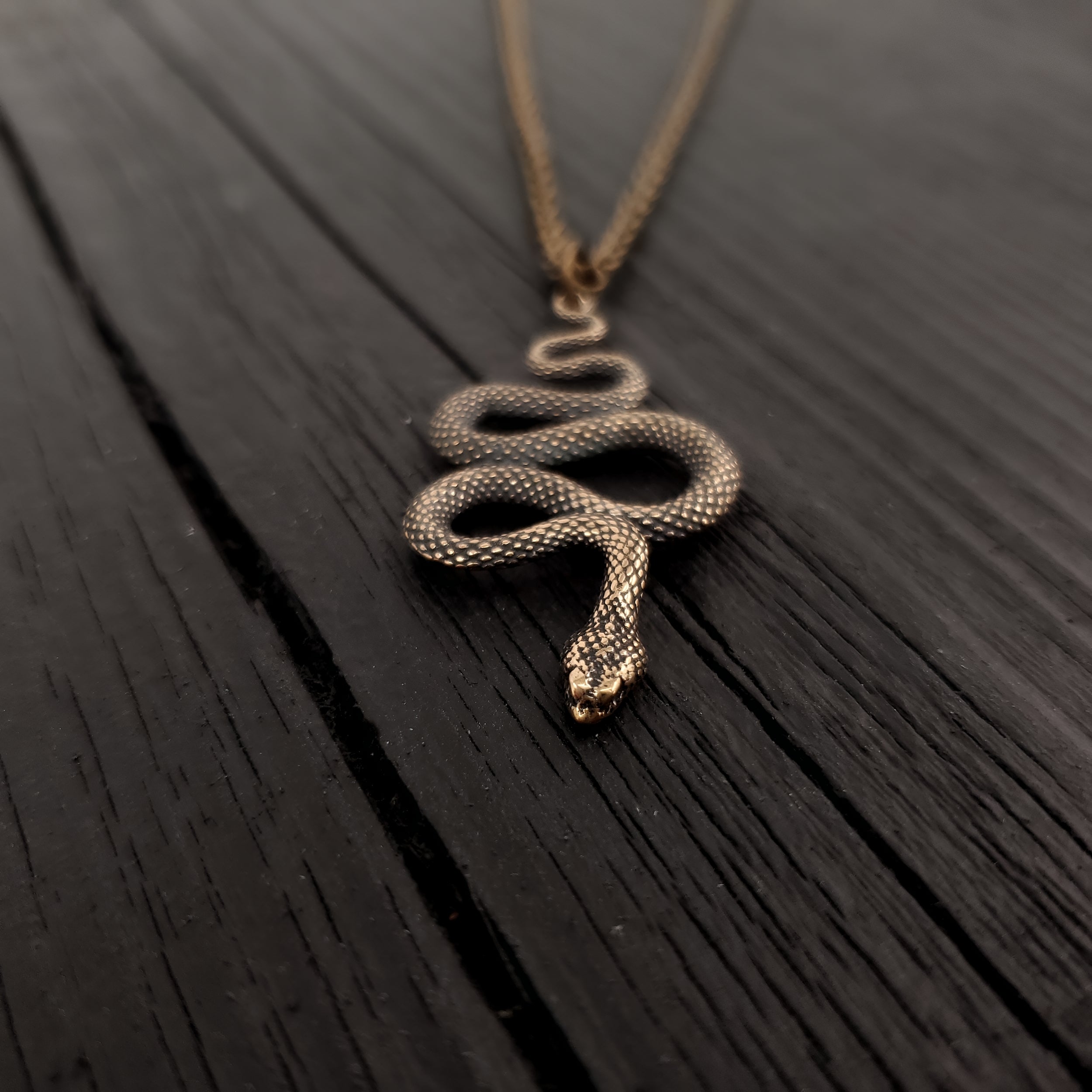 Snake pendant on wooden table, intricate design | Moon Raven