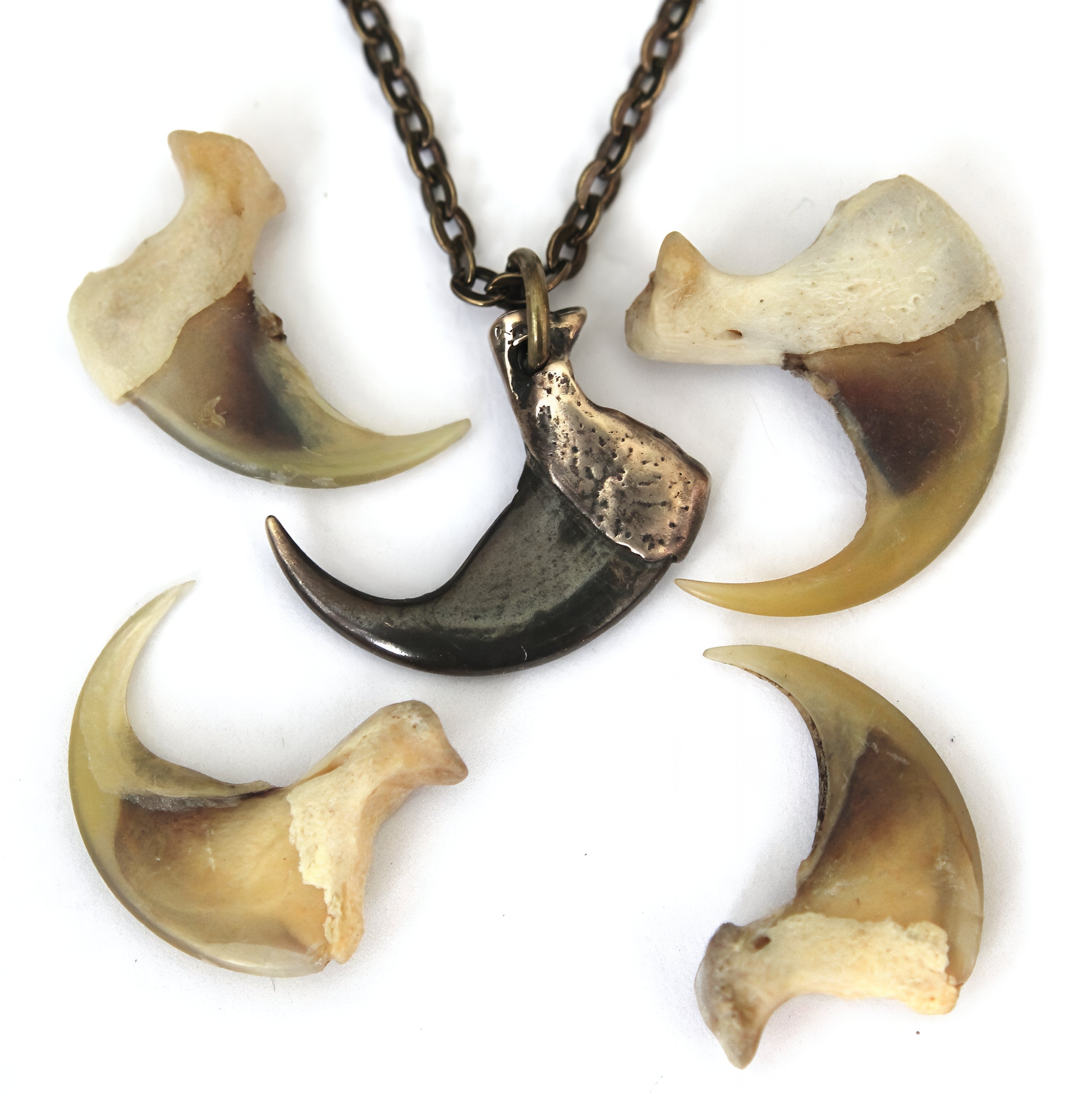 3D Bobcat Claw Pendant Necklace in Solid Silicon Bronze Detailed Casting with Two-Tone Finish