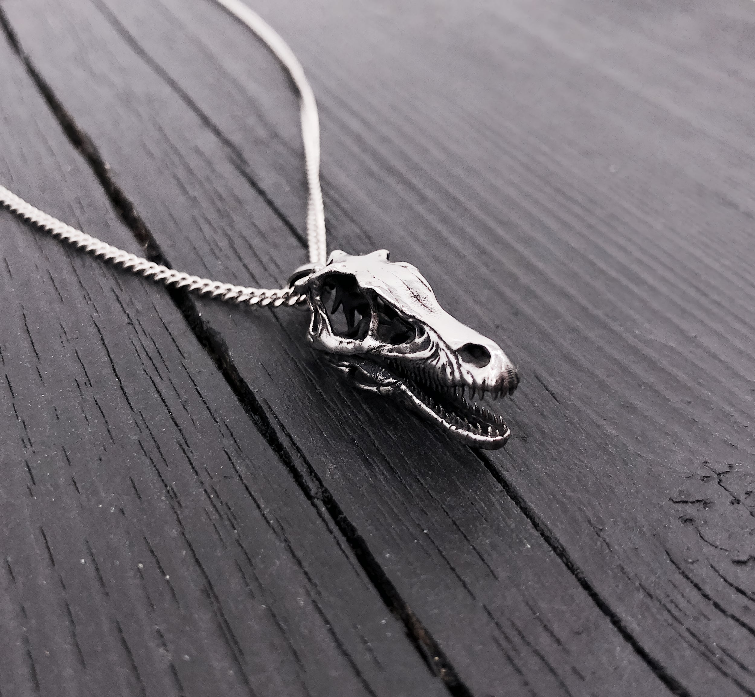 Silver necklace with intricate dragon head pendant | Moon Raven