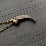 Coyote Canine Tooth Necklace