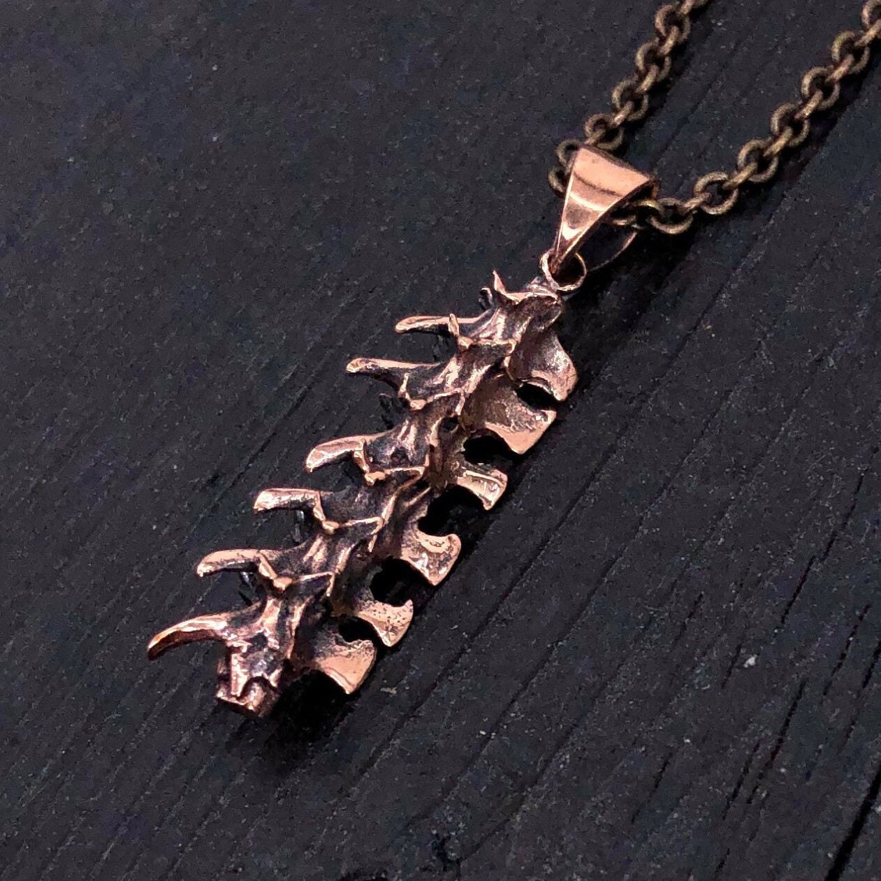 Snake Vertebrae Necklace - Moon Raven Designs