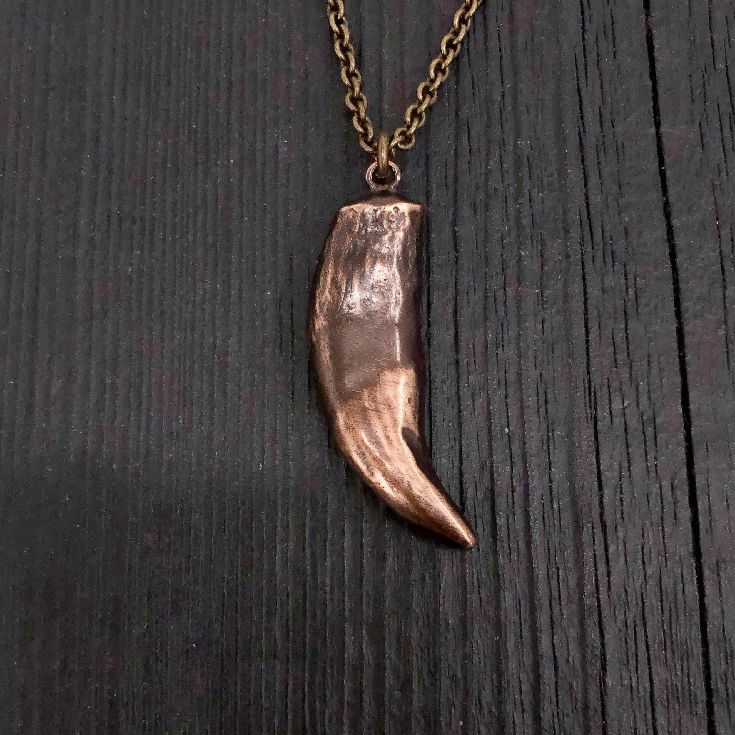 Wolf Tooth Necklace - Moon Raven Designs